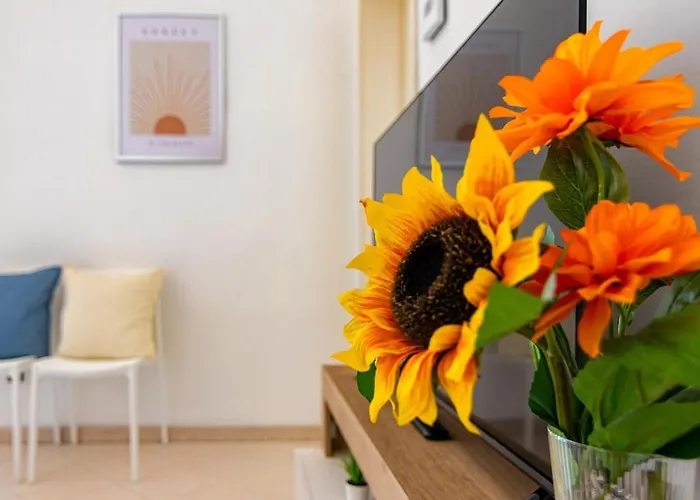Cvr 4- 2 Bedrooms Near The Leaning Tower